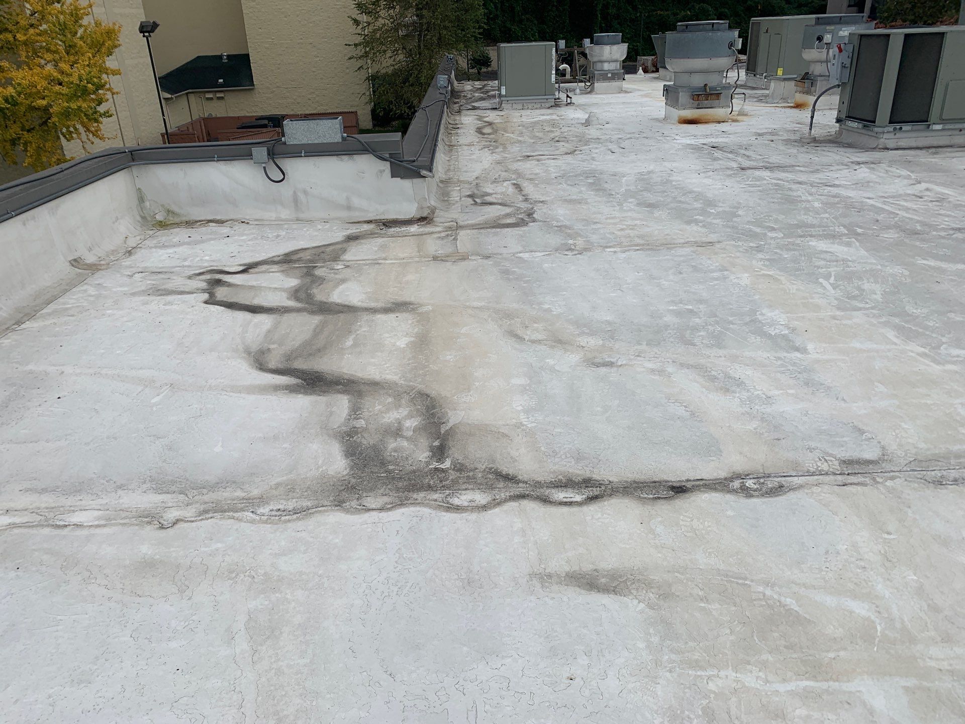 Wind-Driven Rain Intrusion