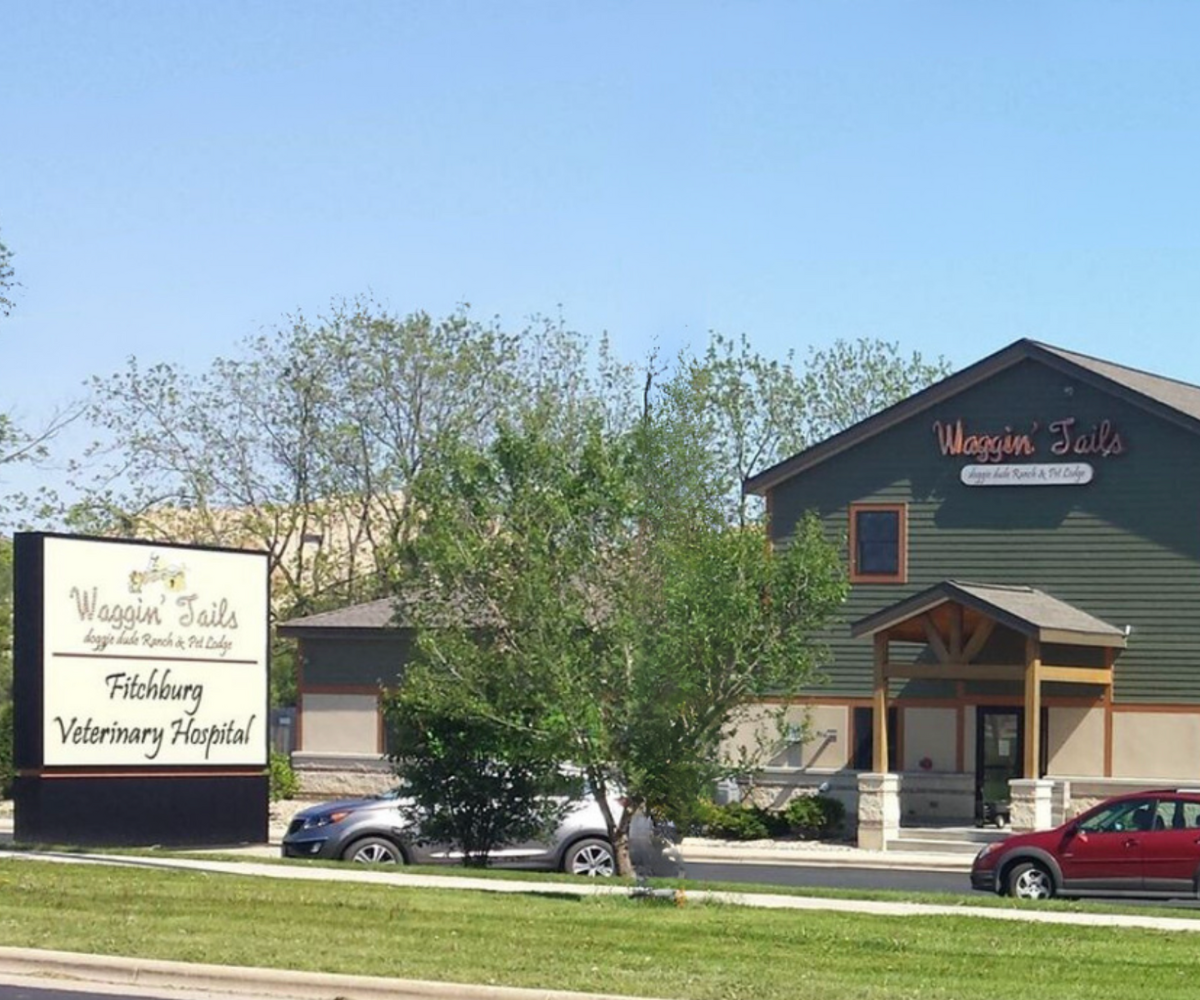Veterinary Clinic & Animal Hospital Roofing
